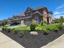 landscaping - Photo 5