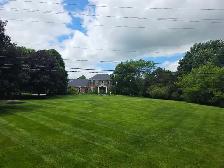 landscaping - Photo 6