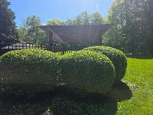 landscaping - Photo 8