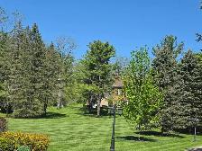 landscaping - Photo 9