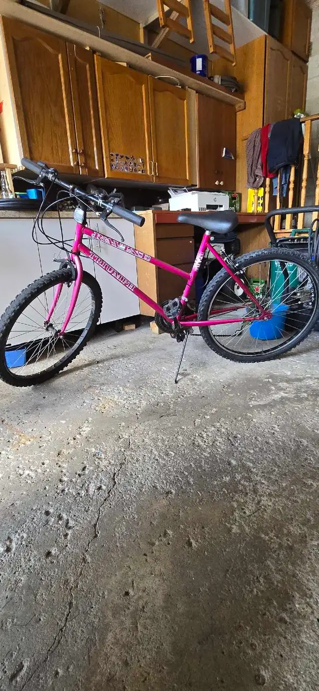 Ravine Triumph Mountain Bike