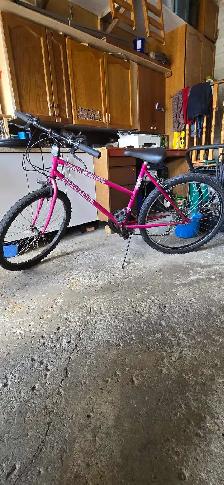 Ravine Triumph Mountain Bike