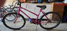 Ravine Triumph Mountain Bike - Photo 2
