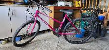 Ravine Triumph Mountain Bike - Photo 3