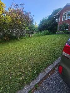 grass cutting barrie innisfill