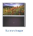 Toshiba 50in Rear Projection Television - Photo 3