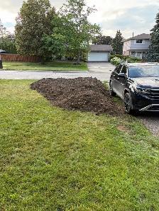 dirt removal