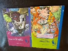 Lot de livres en français - Romans jeunesse (9-14 ans) - Photo 5