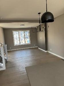 professional painter - Photo 2