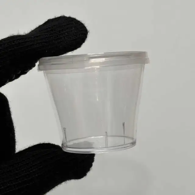 Durable Clear Plastic Containers (2oz)
