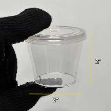 Durable Clear Plastic Containers (2oz) - Photo 2