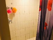Scarborough Room Rent - Photo 5