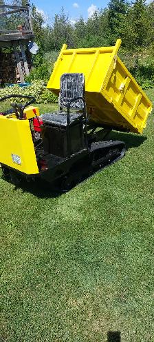 HYDRAULIC DUMP BOX WITH TRACKS (3000LBS) - Photo 6