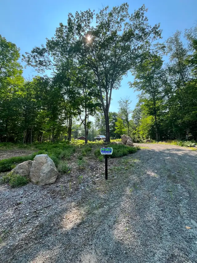 5 acre lot with cabins