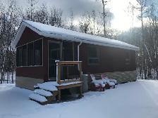 5 acre lot with cabins - Photo 4