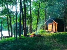 5 acre lot with cabins - Photo 7