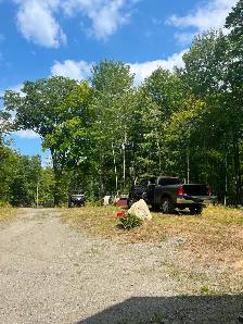 5 acre lot with cabins - Photo 9