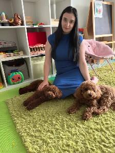 Home-Raised Toy Poodle Puppies | Vet Checked   Complete S - Photo 10