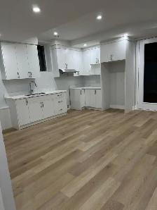 One Bedroom in Basement for Rent - Photo 6
