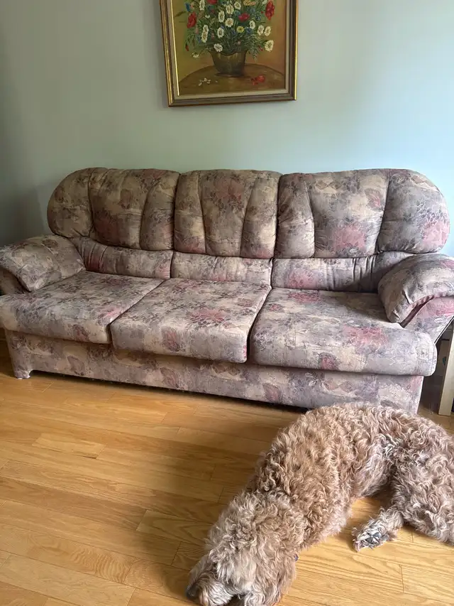 Divan 3 places - Couch 3 seater