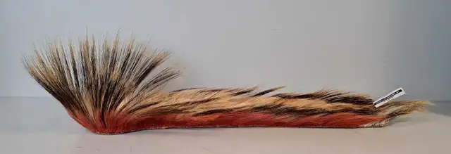 22' Native Roach (31530164)