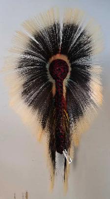 14' Synthetic Native Roach (30026048)