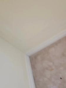 Room rent - Photo 9