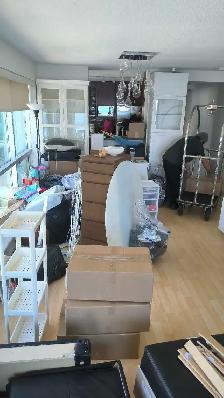 Affordable moving labour in Toronto! 647-571-9326 - Photo 3