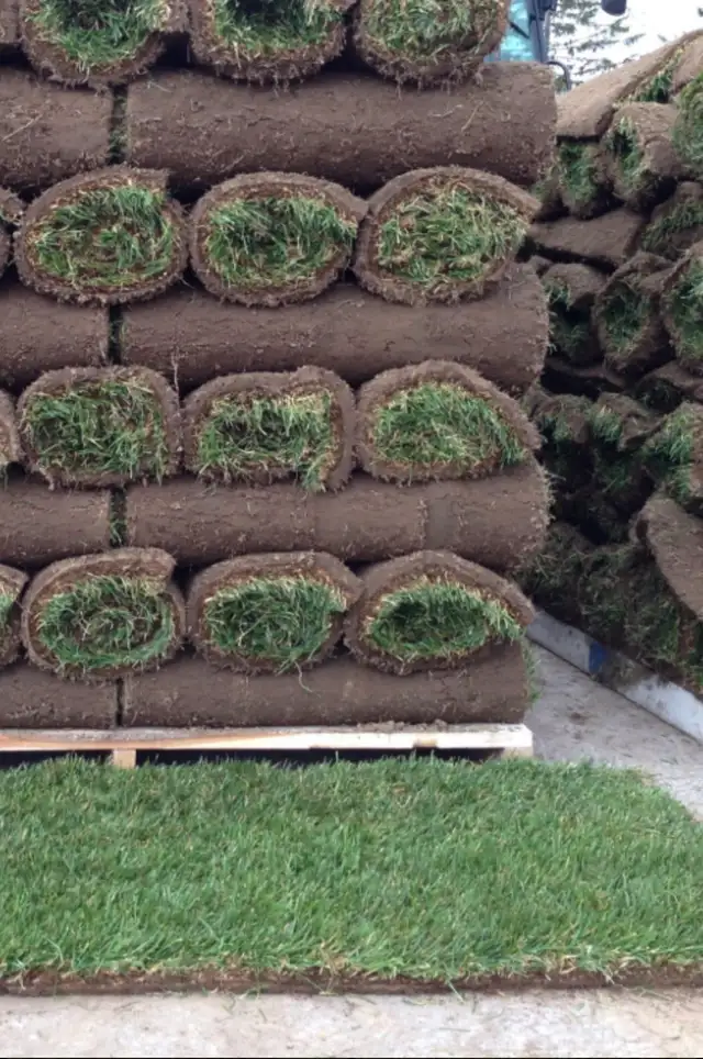 Sod Installation and removal