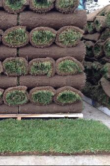 Sod Installation and removal