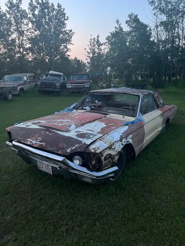 1965 Ford Thunderbird Parts