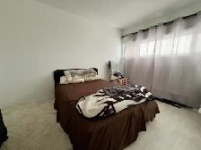 AOÛT GRATUIT • 3½ • 945 $ • Beauport - Photo 3