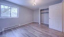 Condo Apartment For Lease Near Wilson Park - Photo 4