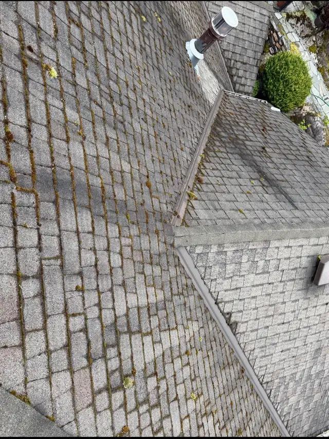 Roof Moss Removal, Gutter & Window Cleaning - Vancouver & Island