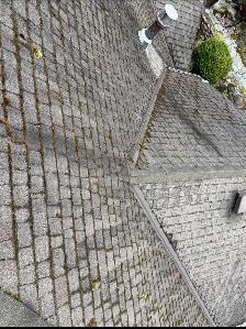 Roof Moss Removal, Gutter & Window Cleaning - Vancouver & Island