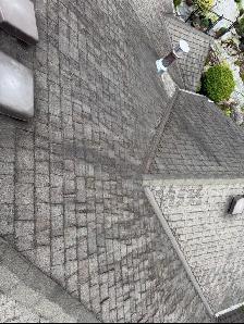 Roof Moss Removal, Gutter & Window Cleaning - Vancouver & Island - Photo 2