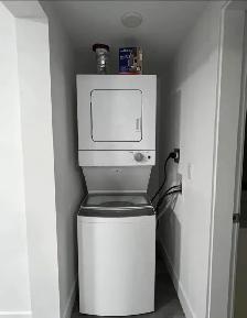 2 Bedroom 1 Bath Basement Suite - Fraser Heights - Photo 6