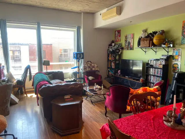 Large loft-style Parc-Ex apartment available for September 1