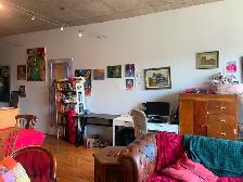 Large loft-style Parc-Ex apartment available for September 1 - Photo 4