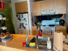 Large loft-style Parc-Ex apartment available for September 1 - Photo 5
