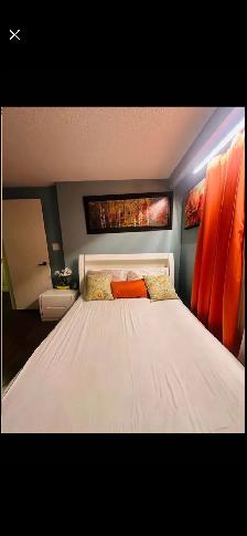 Room for rent - Photo 4