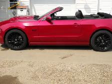 Ford Mustang GT Convertible - Photo 3