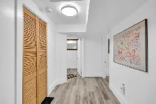 2 Luxury Rooms for Rent (September 1st) - Photo 6