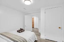 2 Luxury Rooms for Rent (September 1st) - Photo 8