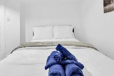 2 Luxury Rooms for Rent (September 1st) - Photo 10