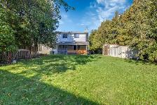 2 Luxury Rooms for Rent (September 1st) - Photo 14