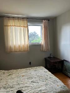 4 1 bed 2 bath whole house (Sheppard/Victoria Park/Finch) - Photo 4