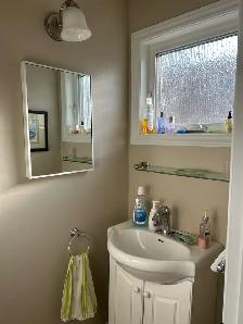 4 1 bed 2 bath whole house (Sheppard/Victoria Park/Finch) - Photo 9