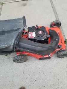 4 hp Brute Lawnmower - Photo 4