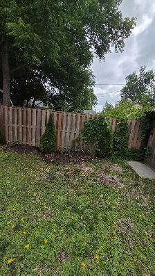 Junk Removal & Disposal - Photo 4